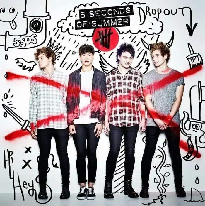 5 Seconds Of Summer – 5 Seconds Of Summer (Picture Disc) (LP)