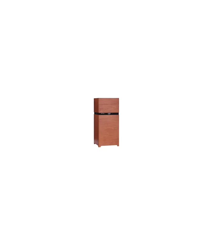 Ampli pour Guitare Acoustique ACUS AllAround 10 Wood