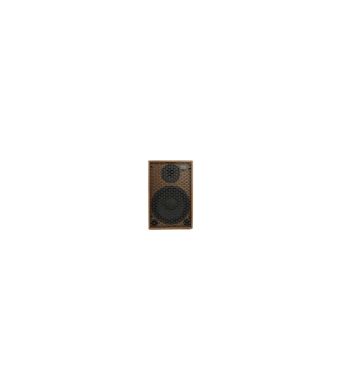 Ampli pour Guitare Acoustique ACUS One ForStrings 10Ferdi Wood