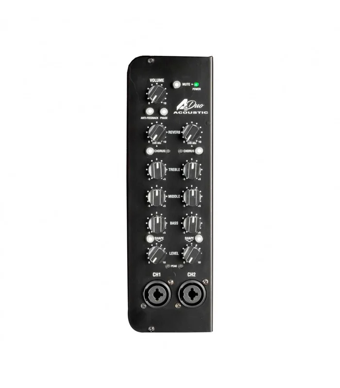 Ampli pour Guitare Acoustique LANEY – 120W/2X8″, 2 CANAUX – Image 4