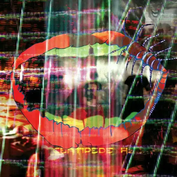 Animal Collective – Centipede HZ (2 LP)