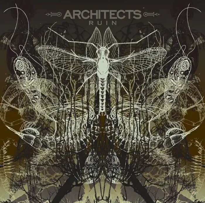 Architects – Ruin (CD)
