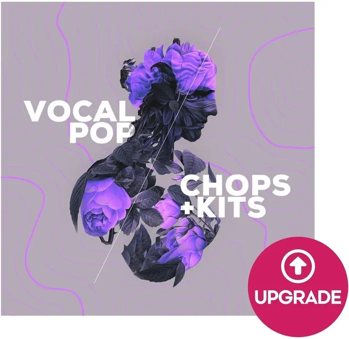 Audiomodern Vocal Pop – Expansion for Loopmix (Produit numérique)