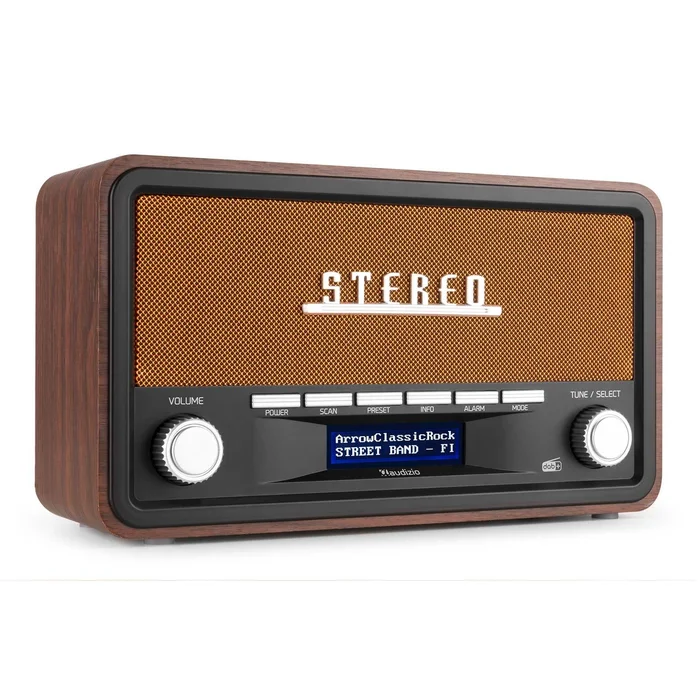 Audizio FOGGIA Radio DAB+ Portable Stéréo 50W – Cuivre
