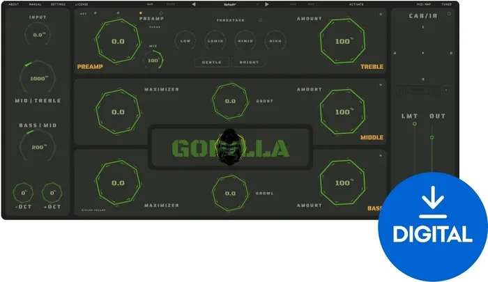Aurora DSP Gorilla (Produit numérique)