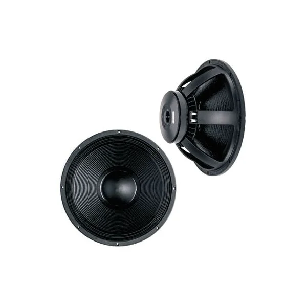 B&C Speakers 18 PS 100