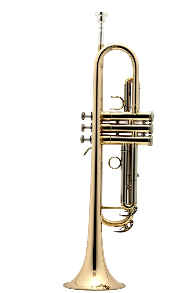 BESSON New Standard Sib Vernie – BE110-1-0