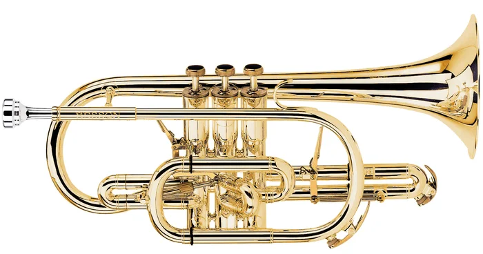 BESSON Prestige Sib Verni – BE2028-1G-0