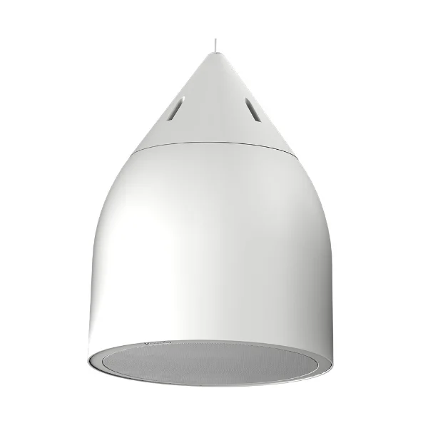 Biamp Systems DP6 (BLANC)