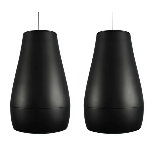 Biamp Systems P6 (LA PAIRE – NOIR)