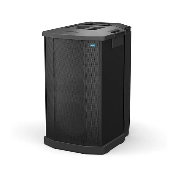 Bose Caisson de Basses F1 Flexible Array Système