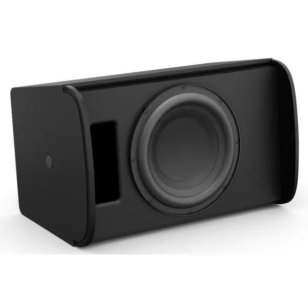 Bose Professional DesignMax DM10S (Noir) – Image 2