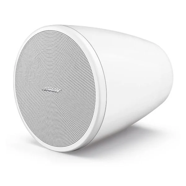 Bose Professional DesignMax DM3P (Blanc) – La Paire