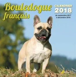 BOULEDOGUE FRANCAIS (2018)