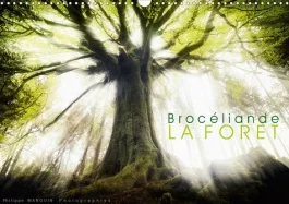 BROCELIANDE, la forêt (Calendrier mural 2020 DIN A3 horizontal). photographies de la forêt de Brocél
