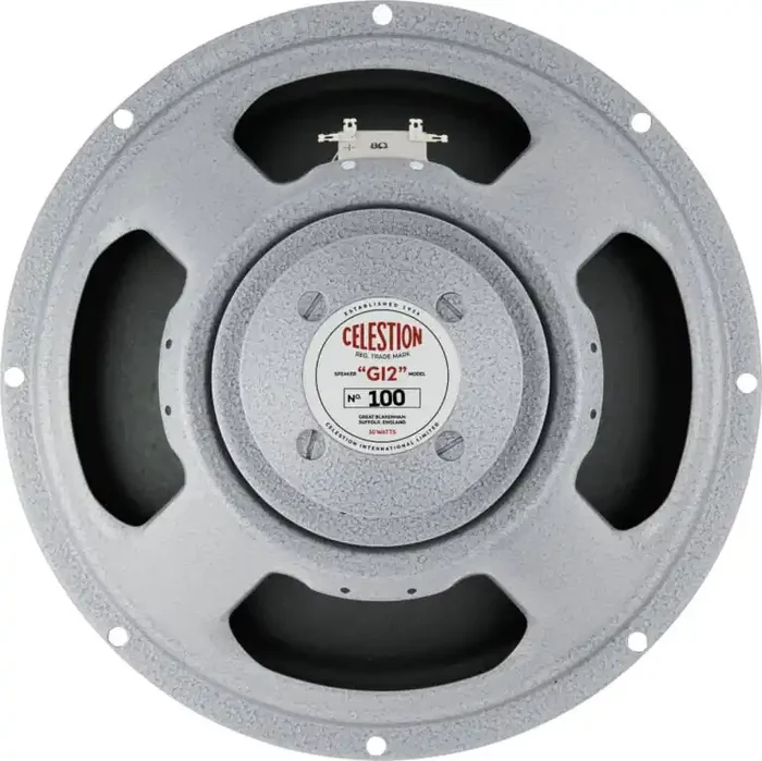 Celestion 100 Haut-parleurs guitare / basse