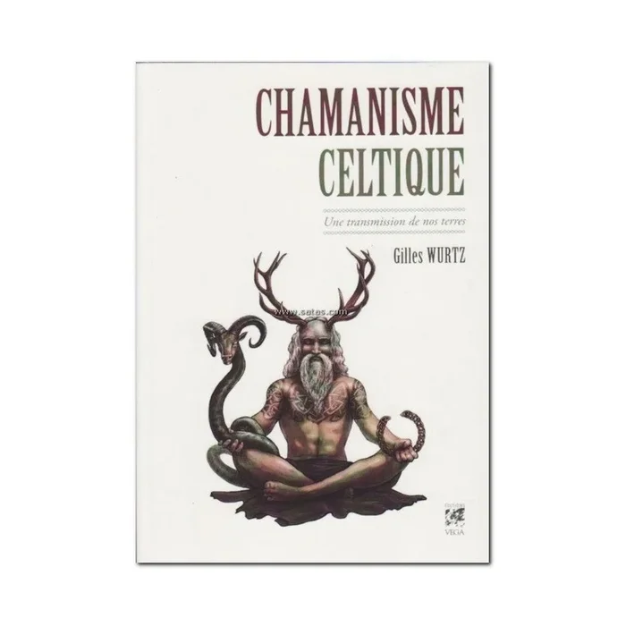 Chamanisme celtique – Une transmission de nos terres
