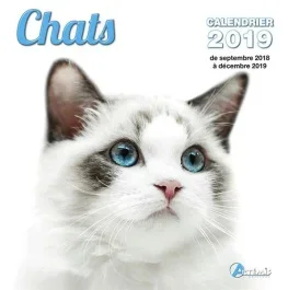 Chats. Edition 2019