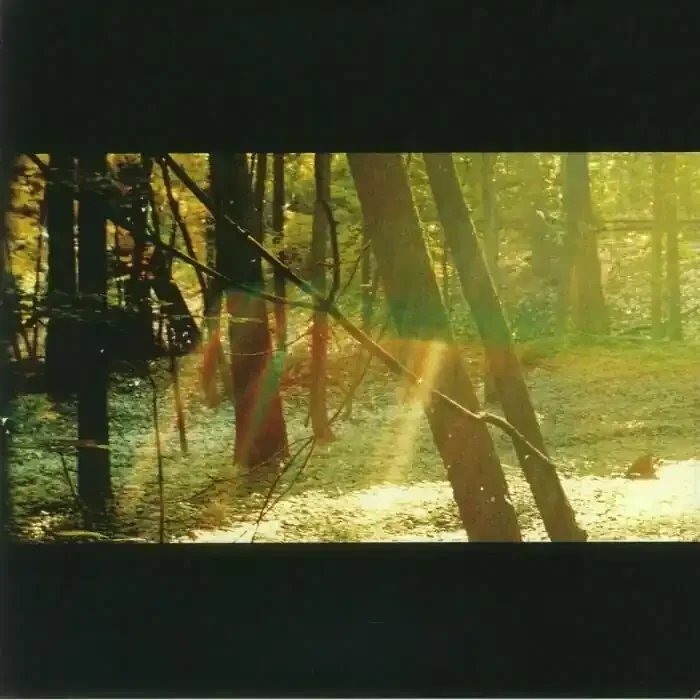 Childish Gambino – Camp (180g) (2 LP)