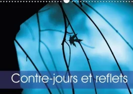 CONTRE JOURS ET REFLETS CALENDRIER MURAL 2018 DIN A3 HORIZON – LE CONTRE JOUR REVELE LA LUMIE