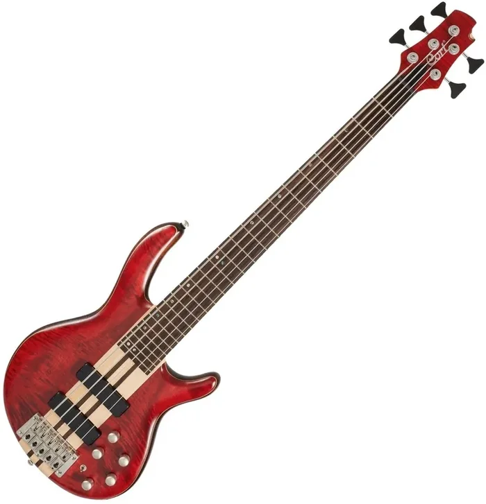 Cort A5 Plus FMMH OPBC Open Pore Black Cherry Basse 5 cordes