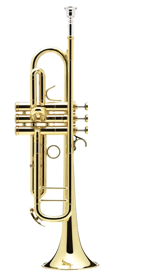 COURTOIS Confluence Sib Vernie – AC335BML-1-0
