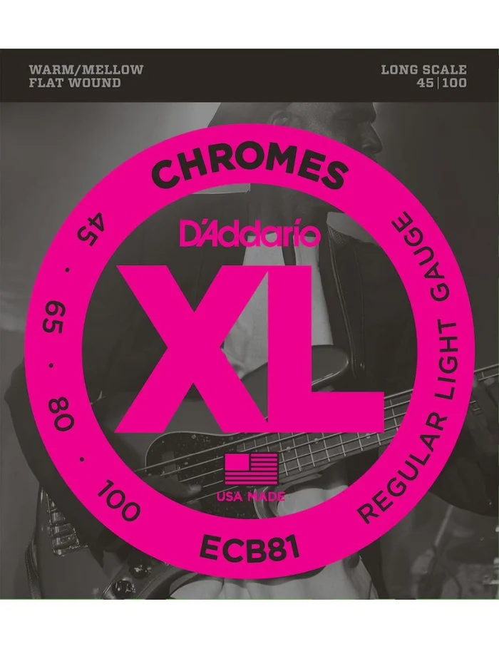 D&rsquo;Addario ECB81 Chromes cordes basses à filet plat 45/100