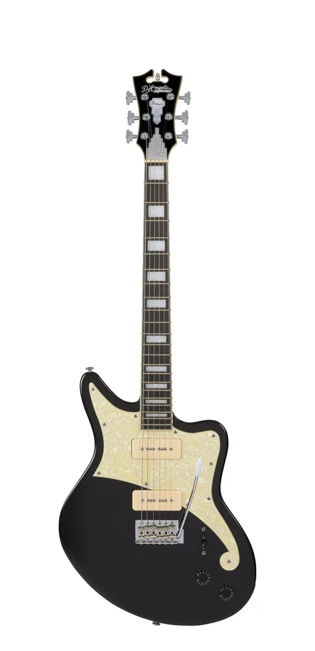 D&rsquo;Angelico Premier Bedford Blake Flake