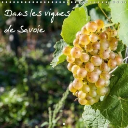 DANS LES VIGNES DE SAVOIE CALENDRIER MURAL 2018 300 300 MM S – LES VIGNES AU PAYS DE SAVOIE C