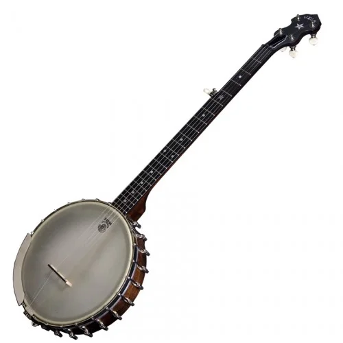 DEERING VEGA SENATOR – BANJO 5 CORDES