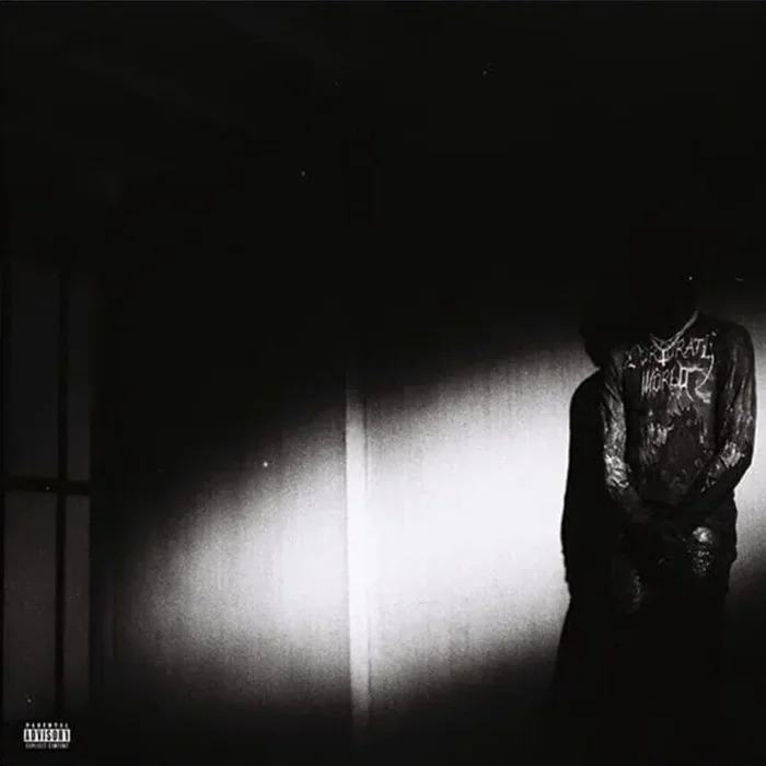 Destroy Lonely – No Stylist (LP)