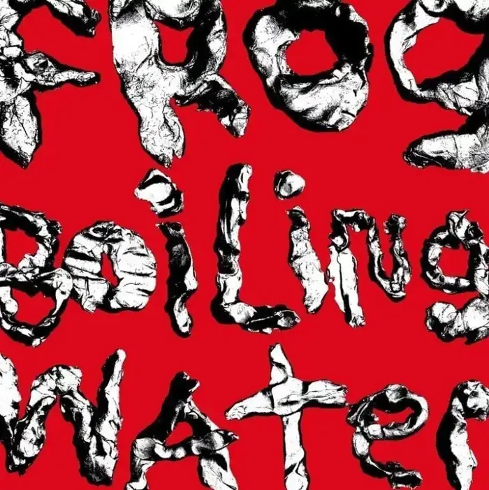 Diiv – Frog In Boiling Water (LP)
