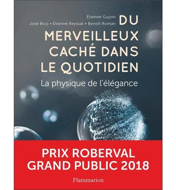 Du merveilleux caché dans le quotidien – La physique de l’élégance