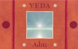 ENCENS VEDA CONES – FRANGIPANIER / ADITI