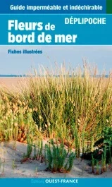 Fleurs du bord de mer