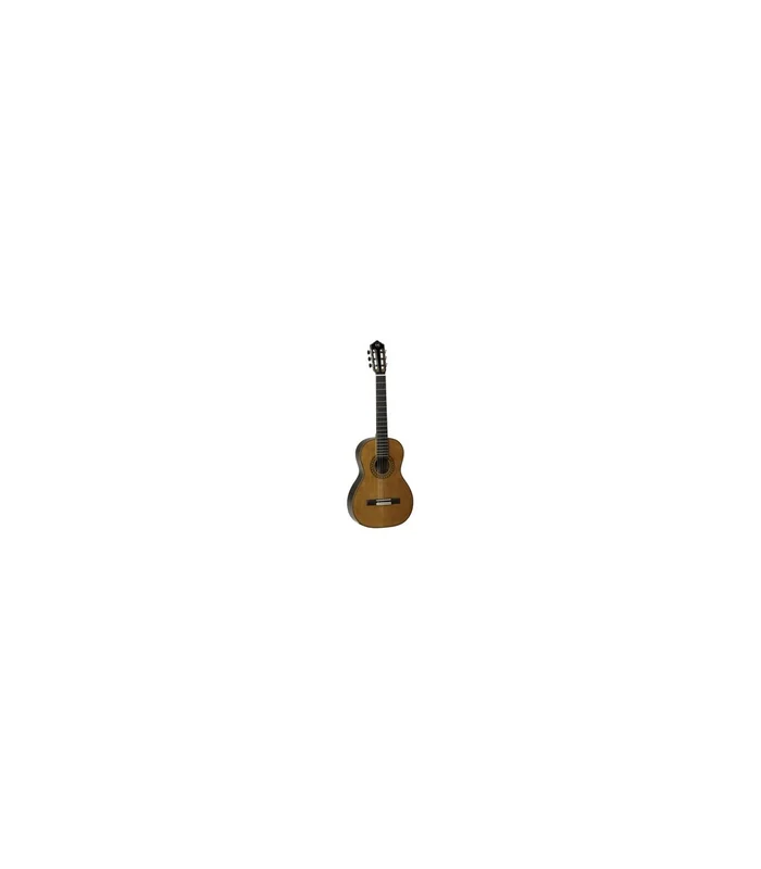 Guitare Classique 4/4 Tanglewood Dominar EMD4 WN