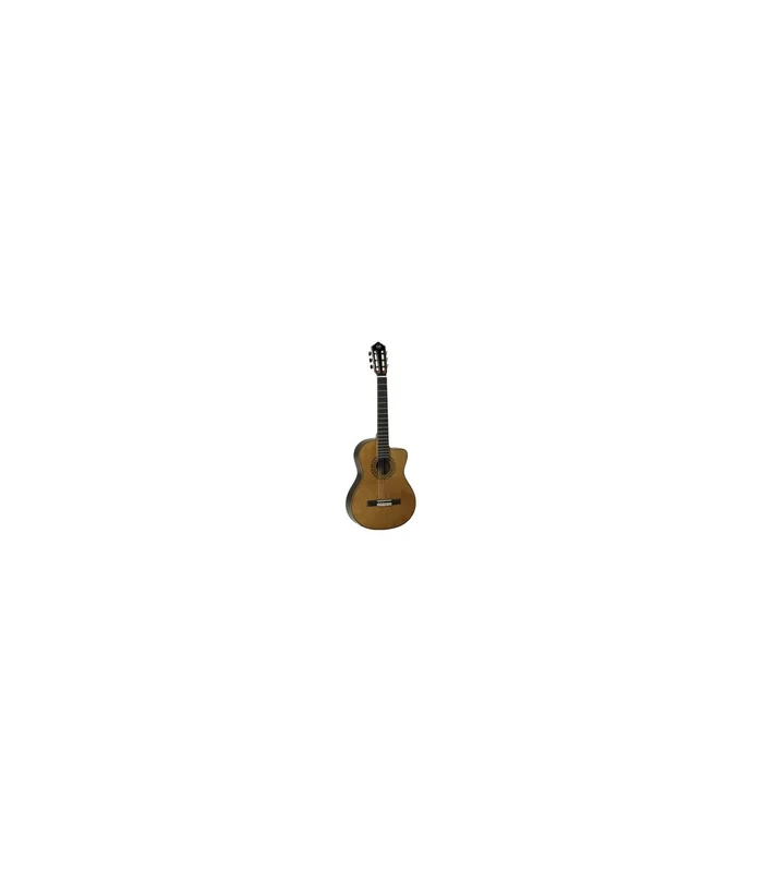 Guitare Classique Electro Tanglewood Dominar EMDC5 WN