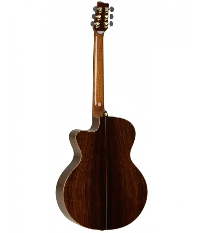 Guitare Folk Electro Tanglewood Master TSR2C EN + Etui – Image 2