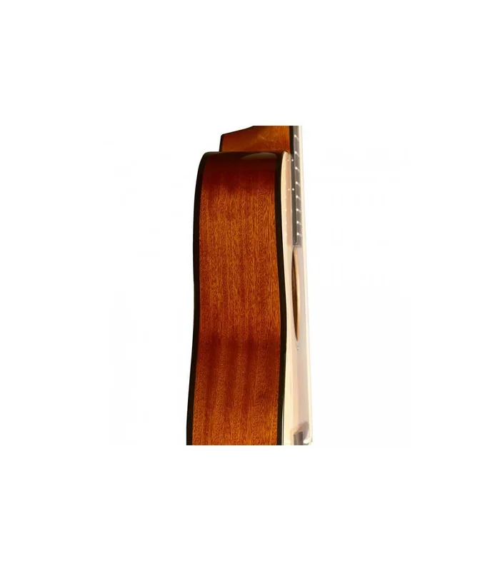 Guitare Folk J.N. Guitars BES-A N AUDIT EPICEA