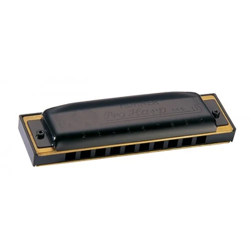 HOHNER MS PRO HARP 562/20 D