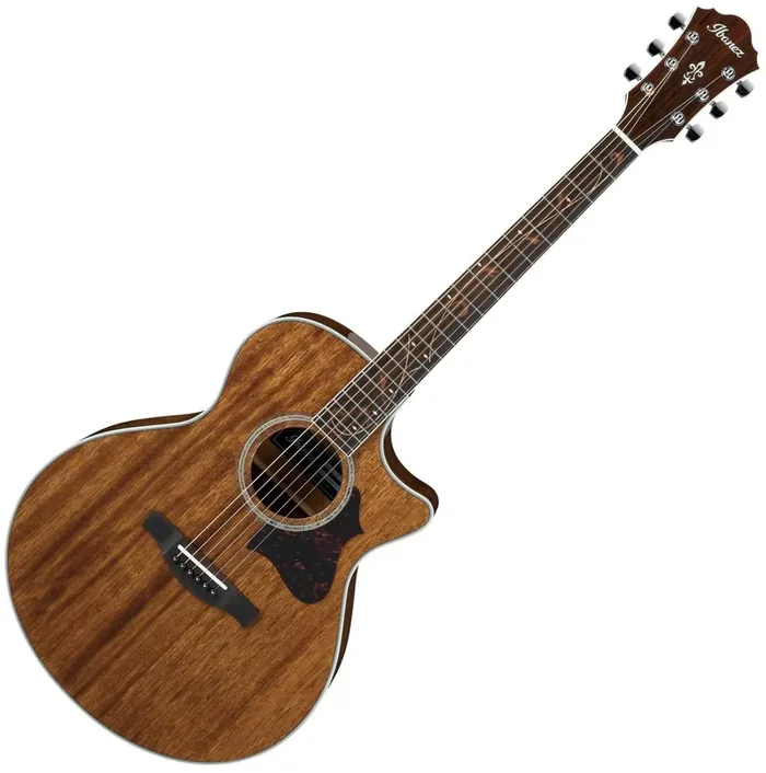 Ibanez AE245-NT Natural Guitare Jumbo acoustique-électrique
