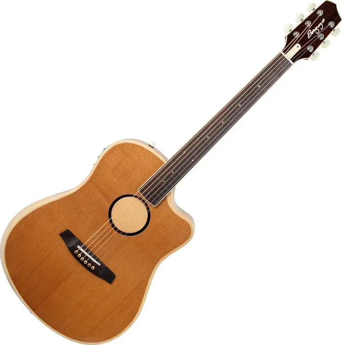 L.R. Baggs AEG-1 Torrefied Guitare acoustique-électrique