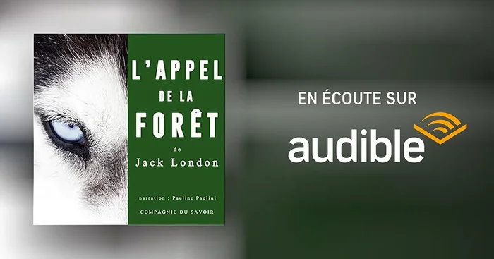 L&rsquo;appel de la forêt
