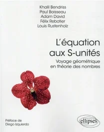 L&rsquo;équation aux S-unités. Voyage géométrique en théorie des nombres