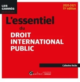 L&rsquo;ESSENTIEL DU DROIT INTERNATIONAL PUBLIC