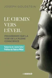 Le chemin vers l&rsquo;éveil. Progresser sur la voie de la pleine conscience