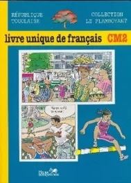 le Flamboyant, livre unique de français, CM2, Togo, élève