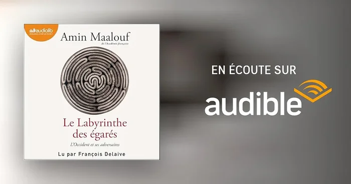 Le Labyrinthe des égarés