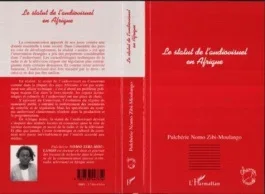 Le statut de l&rsquo;audiovisuel en Afrique