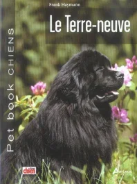 Le Terre-neuve